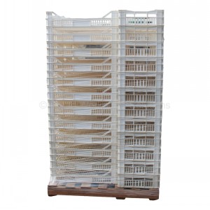 Potato & Vegetable Trays Plastic Allibert Type